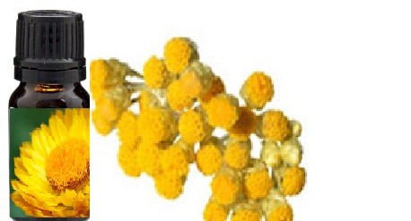 Helichrysum - Immortelle Huile Essentielle